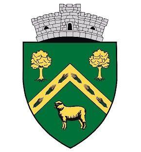 Stema comunei Dumbrăveni