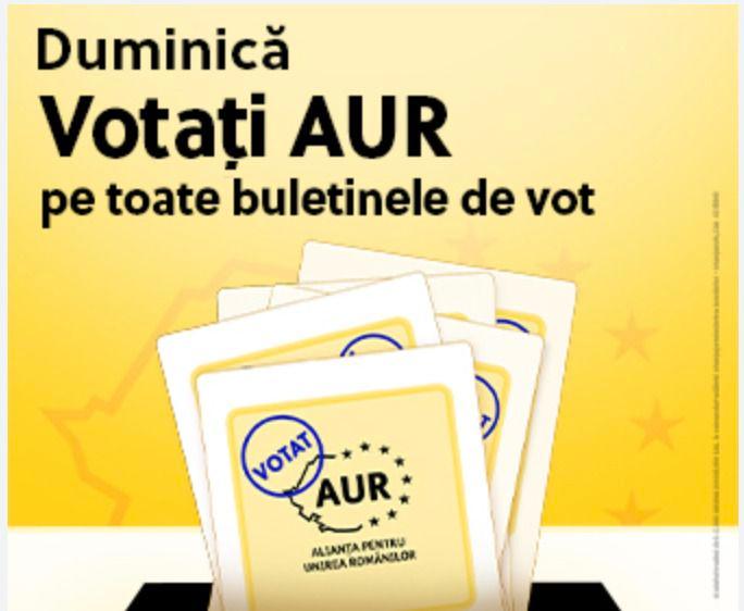 <em>Sursă: </em><a target="_blank" href="https://adstransparency.google.com/advertiser/AR04804526992001073153/creative/CR15366523649347551233?region=RO&topic=political&start-date=2024-05-10&end-date=2024-05-30"><em>Google Ads Transparency Center</em></a><em>.</em><em> Captură ecran parțială din reclamă AUR pe Google Ads</em>