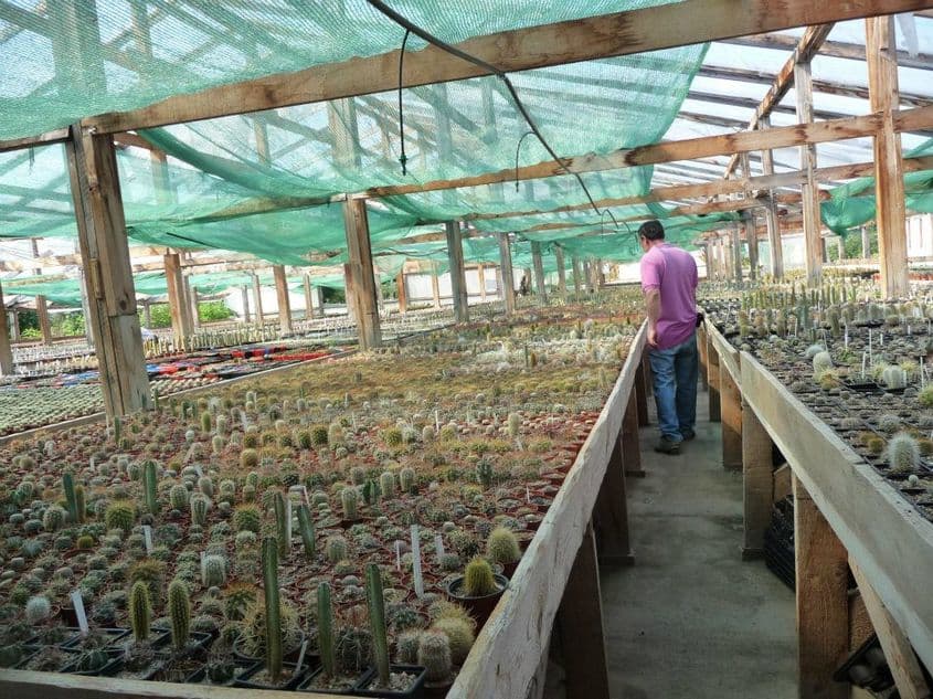 Sera Adaria Garden, în 2012. Foto: Arhiva familiei Bobiș