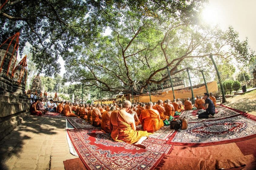 Copacul Bodhi, sub care Buddha a stat în timpul iluminării sale. Foto: Ioana Brănişteanu