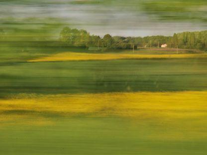 Barbizon: pe urmele lui Nicolae Grigorescu