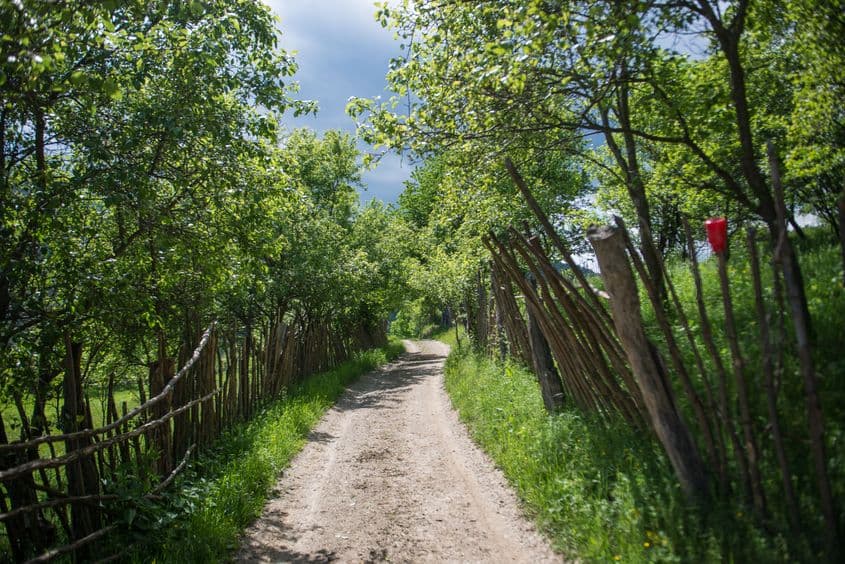 Odăi, județul Vâlcea. Foto: Cristi Șuțu