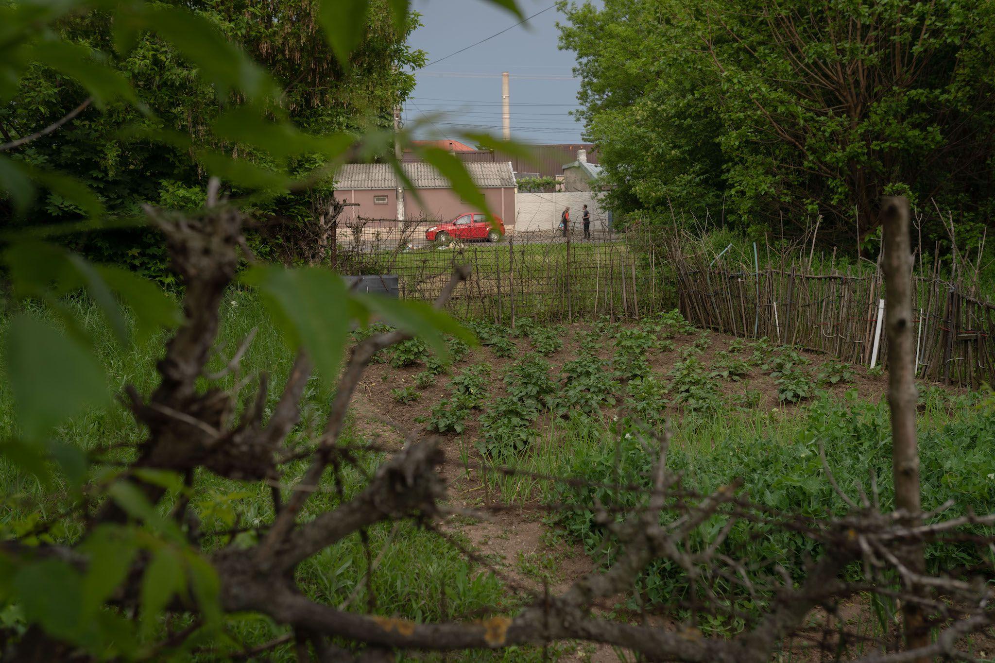 O curte a unor localnici, lângă calea ferată abandonată. Foto: Andreea Câmpeanu