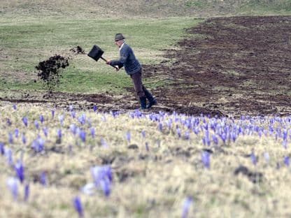 Nime’ n-a muri râzând