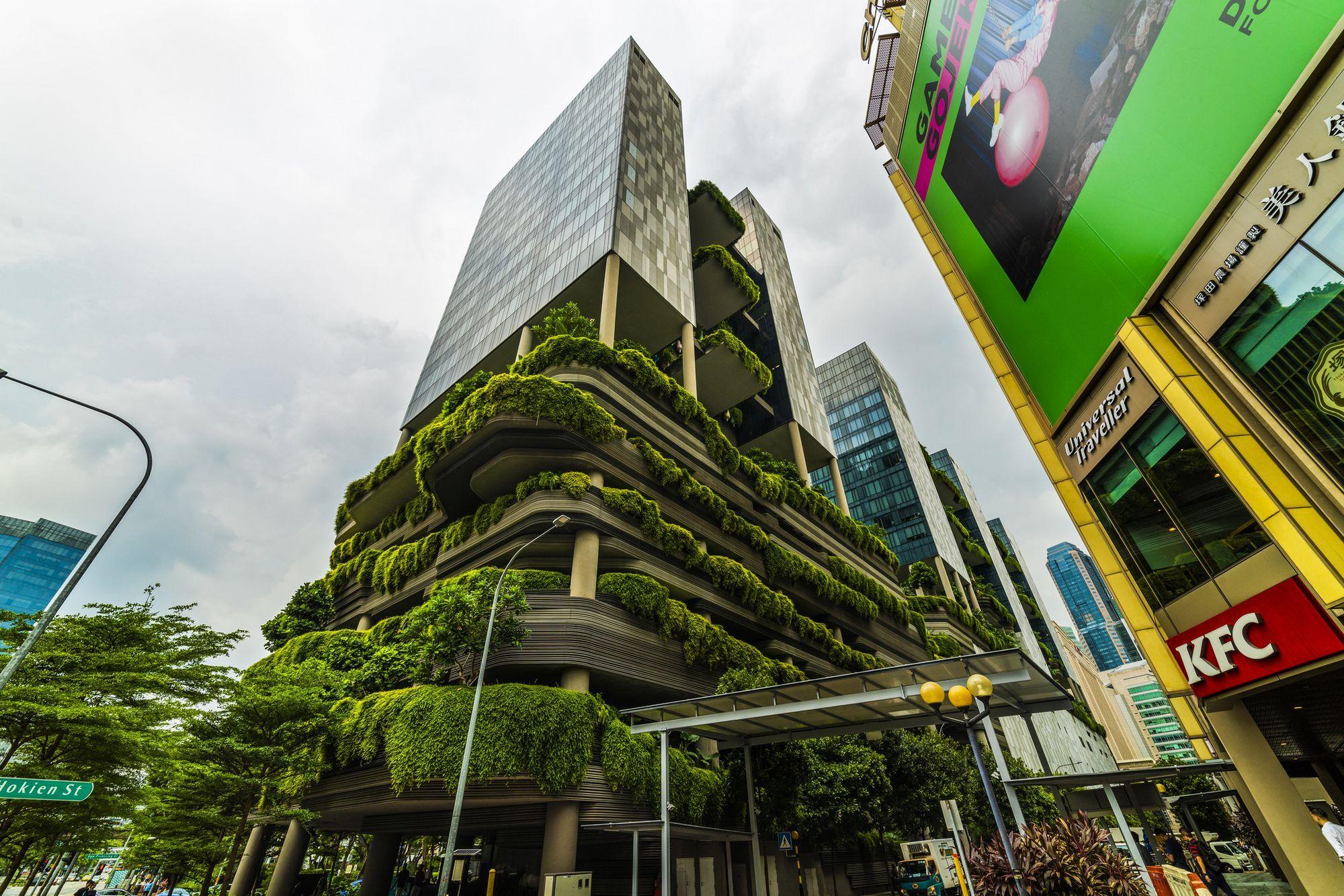 Parkroyal on Pickering - un hotel acoperit în verdeață. Clădirile literalmente verzi încearcă să compenseze oceanul de beton al orașului. Foto: Cristianzamfir | Dreamstime.com