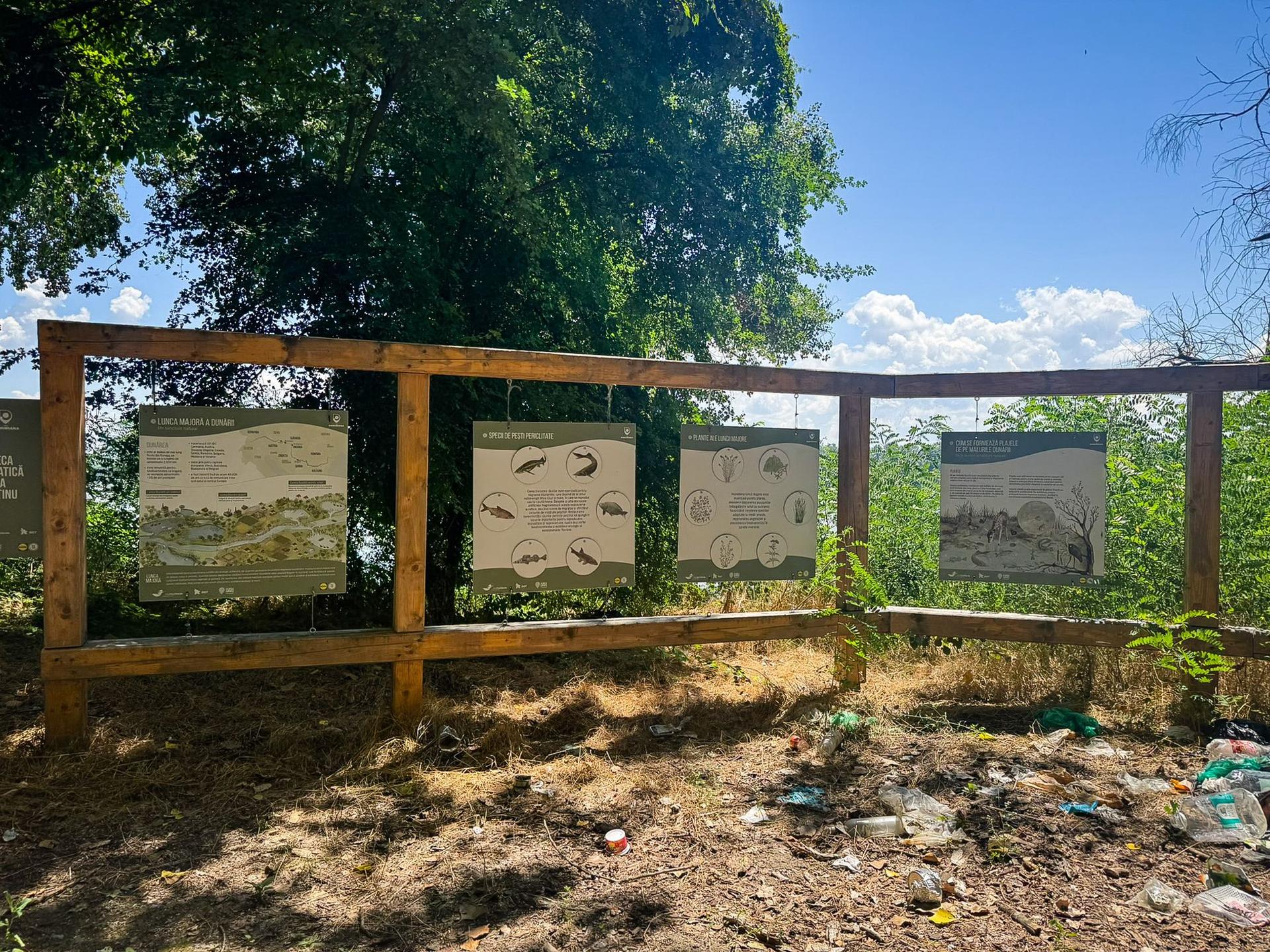 Foto: Ana Tepșanu