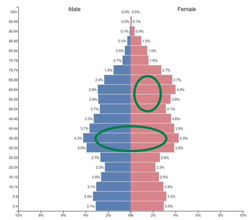 Sursa: PopulationPyramid.net