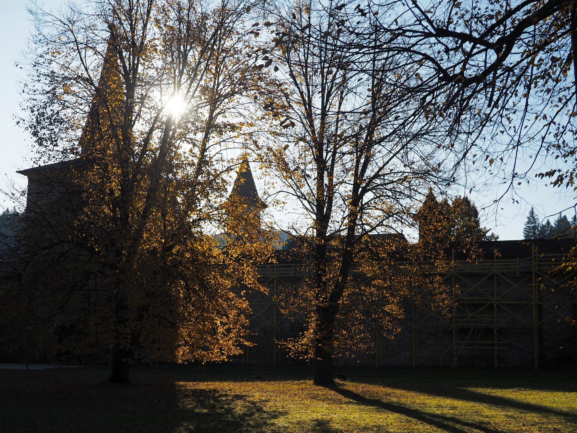 Mănăstirea Sucevița dimineața devreme, privită din afara zidului exterior