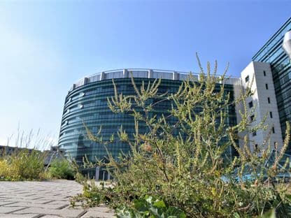 Cum ne-a amețit cu ambrozie comandamentul de război al doamnei Firea