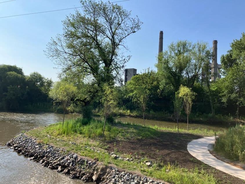Coșurile de fum de la Carbochim, profilate prin vegetația de pe malul Someșului Mic, vedere dinspre parcul Armătura. Foto: Bianca Felseghi