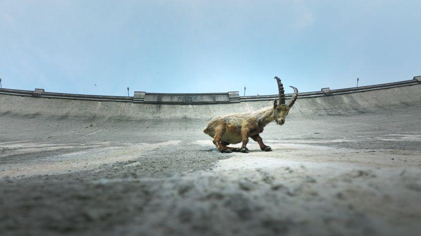 © Christian Baumeister, Light & Shadow GmbH