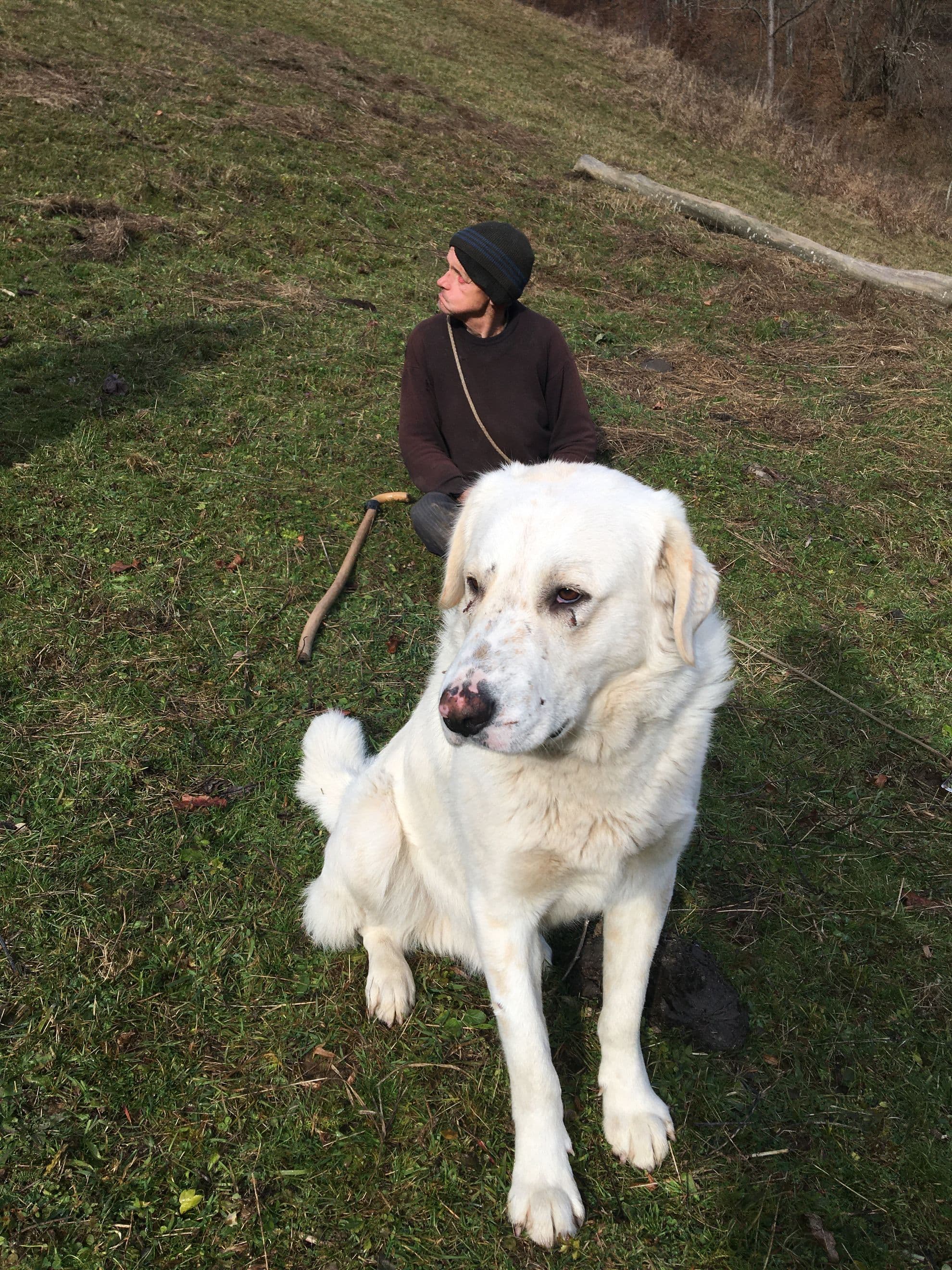 Gheorghe Bunea, omul cu un singur picior, pe când își aducea lemne de foc în sălașul lui vecin cu casa primarului, în a cărui grijă se află, conform actelor.