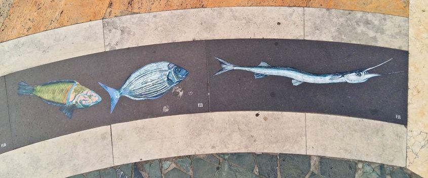 Pești din ceramică decorează pavajul zonei pietonale din Manarola.