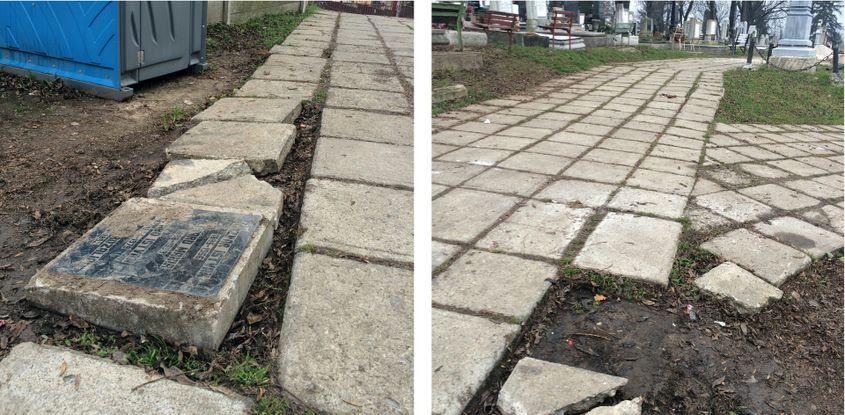 Fotografii: Voicu Bojan