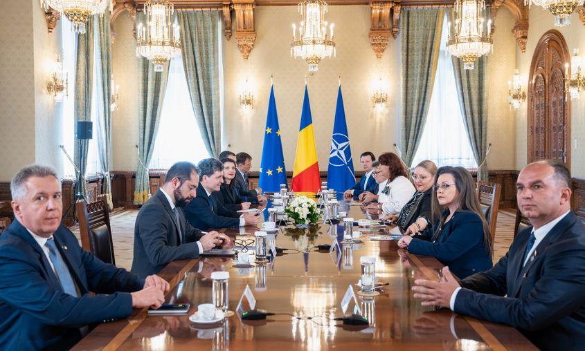 Din delegația SOS care s-a prezentat la consultările de la Palatul Cotroceni a făcut parte și Tudor Ionescu, cunoscut pentru apartenența la Noua Dreaptă, organizație extremistă. Foto: Administrația Prezidențială