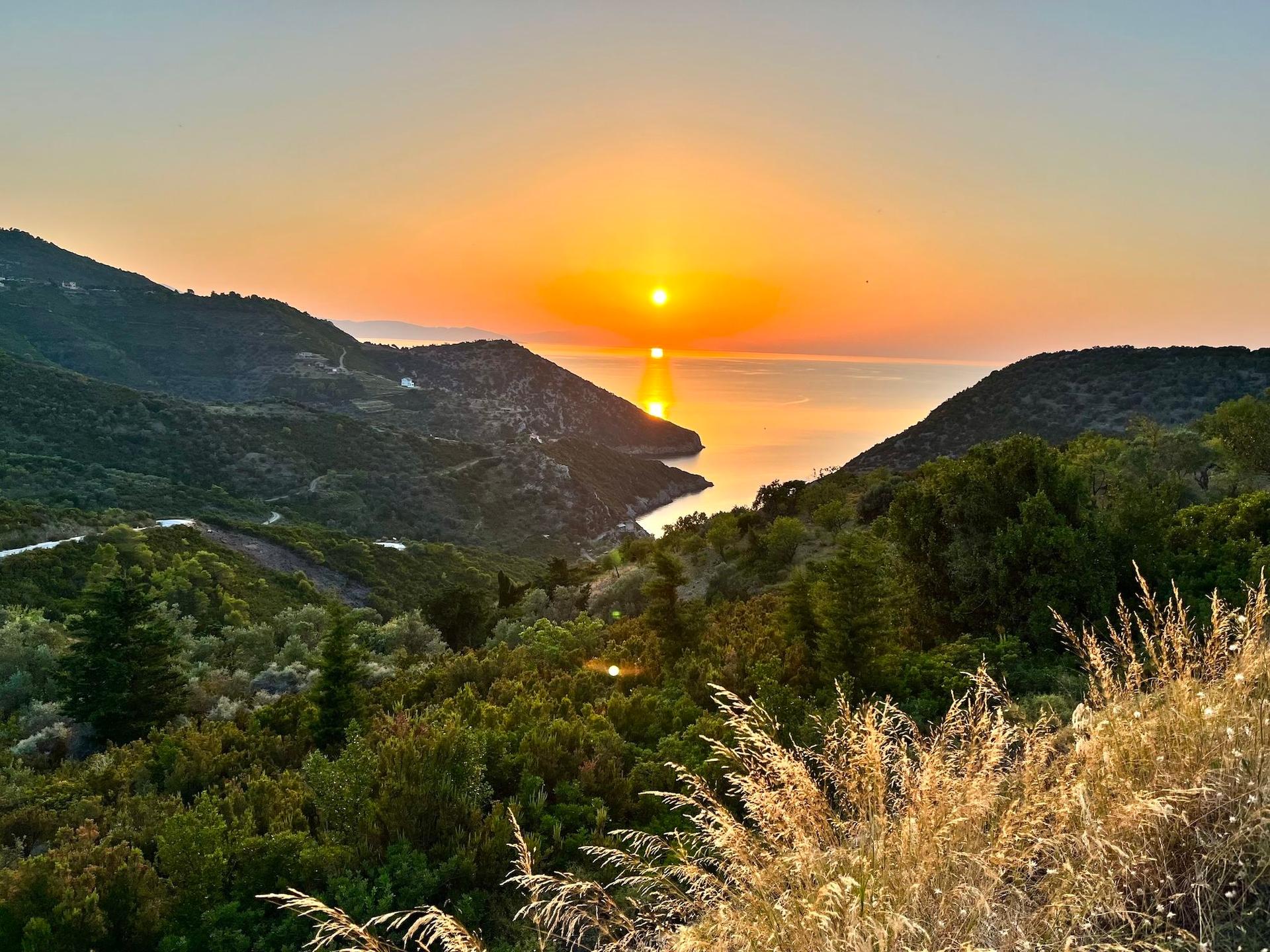 Pădurile din Alonissos coboară până în buza apei. Foto: Ioana Epure