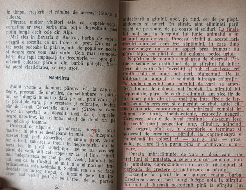 Paginile 20-21 din cartea lui Ionel Pop.