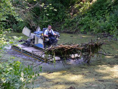 Sticlăriei - parcul uitat al Bucureștiului, unde natura și-a făcut de cap