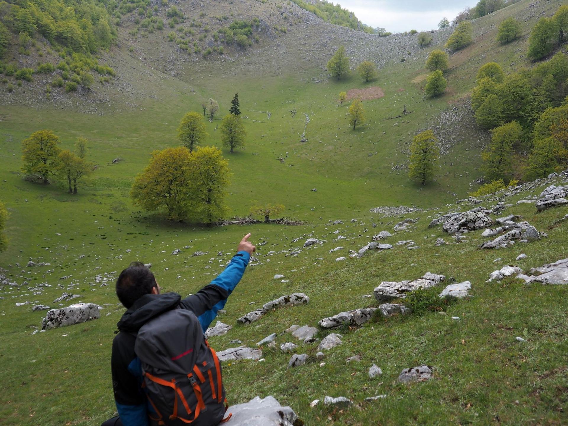 Crovul Mare, nu departe de Poiana Beletina