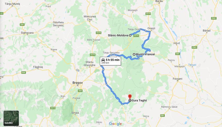 Un urs dintre cei monitorizați de APM Vrancea a parcurs peste 250 de kilometri, în căutarea hranei și a locului pentru bârlog.