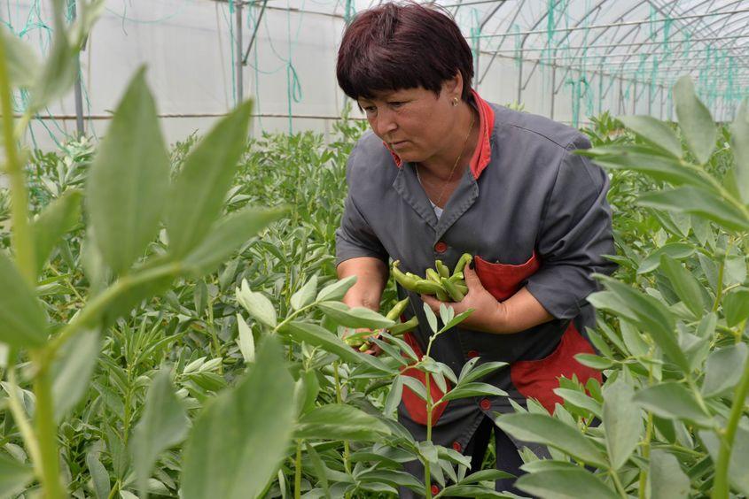 Foto: Lucian Muntean