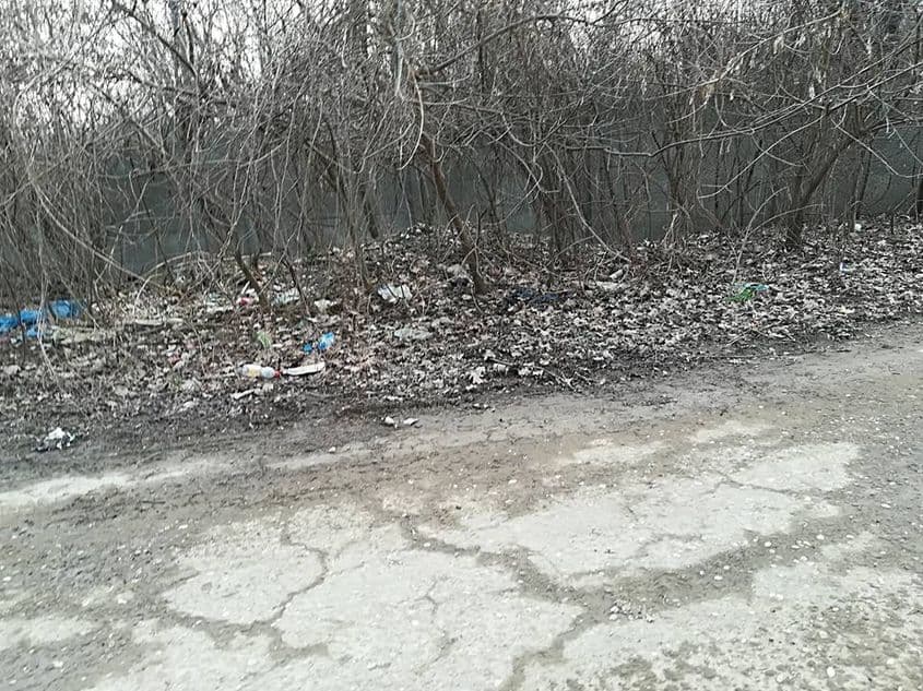 Fotografie postată pe grupul „Garda Verde”.