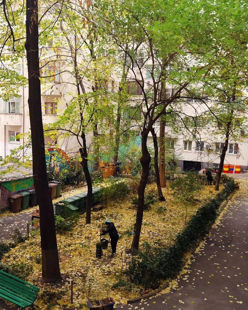 Foto: Grupul de Inițiativă Civică Cișmigiu, un exemplu de grup care contribuie la transformarea spațiului public din zona parcului Cișmigiu