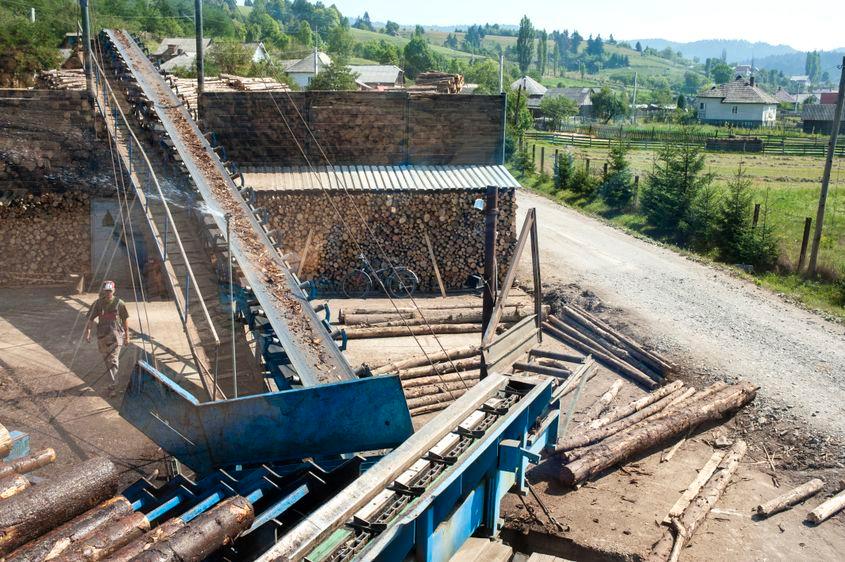 Trunchiul se desparte de coajă și intră în producție