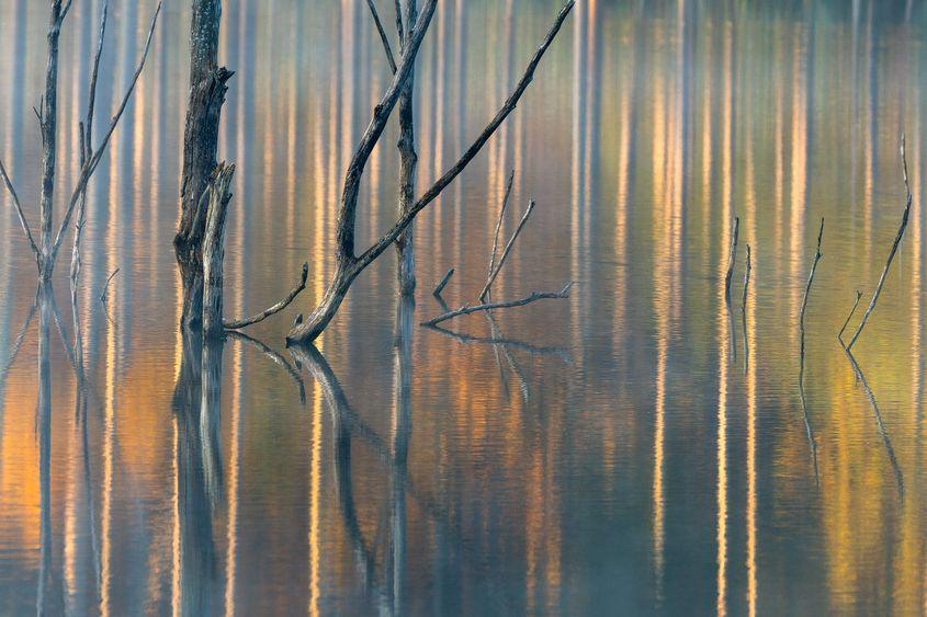 © Gheorghe Popa