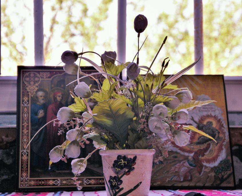 Florile au luat locul paraginii.