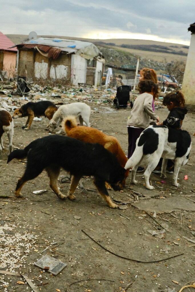 Foto: Vlăduț Bîlea