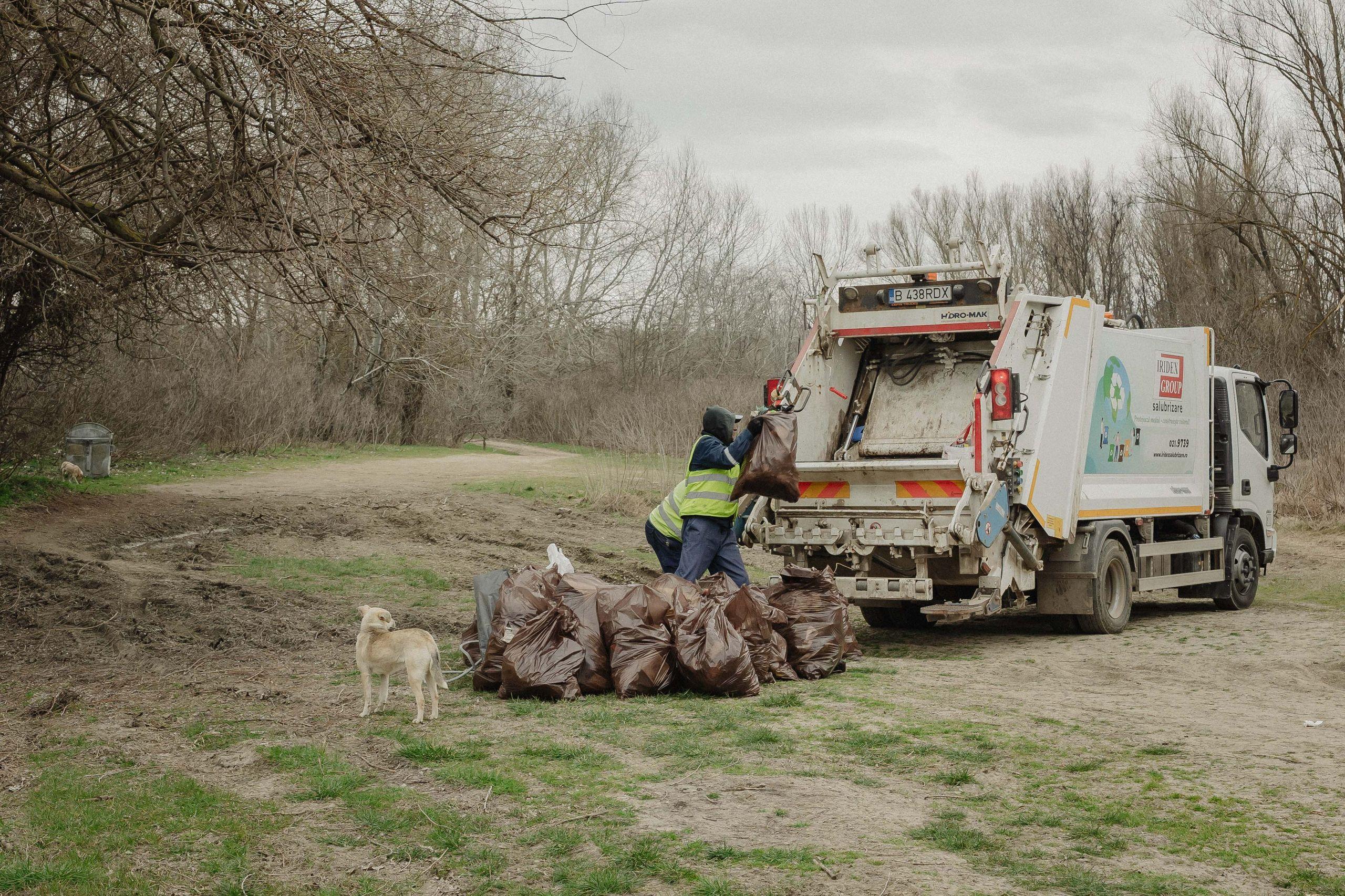 Igienizarea plajei Cheson. Foto: Larisa Baltă