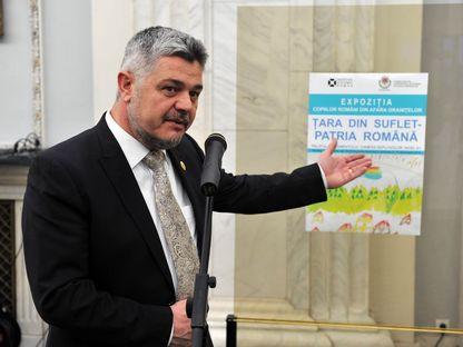 Ninel Peia a fost vicepreședinte al Comisiei de mediu și echilibru ecologic a Camerei Deputaților, între 2014 și 2016 FOTO AGERPRES FOTO