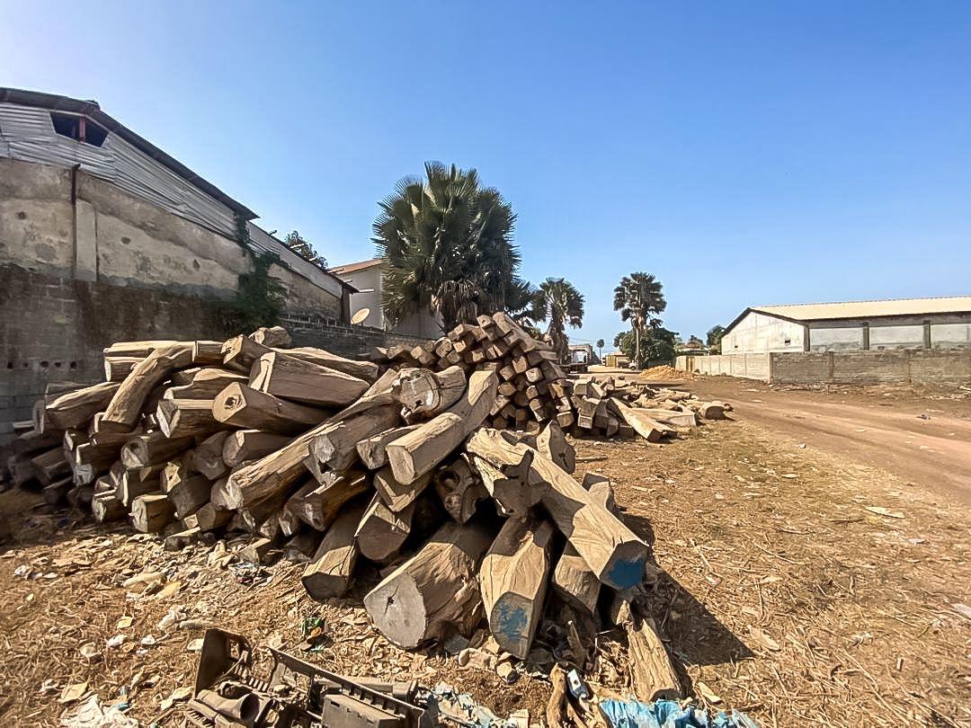 Lemn de palisandru care urmează a fi traficat. Foto: Andrei Popoviciu