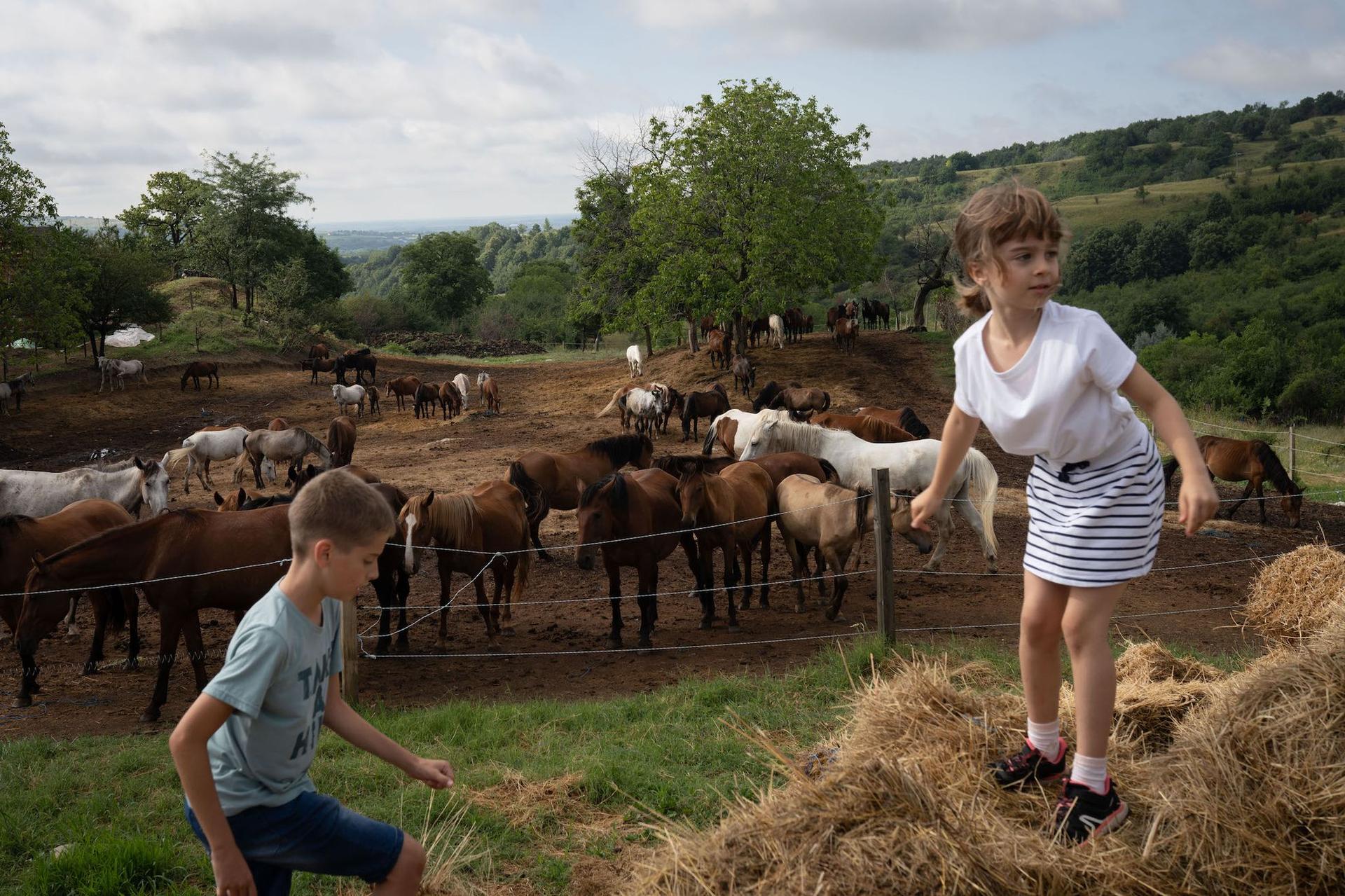 Doi copii se joacă pe baloți, la sanctuarul Save the Horses Romania, pe 22 iulie, 2023. Foto: Andreea Câmpeanu