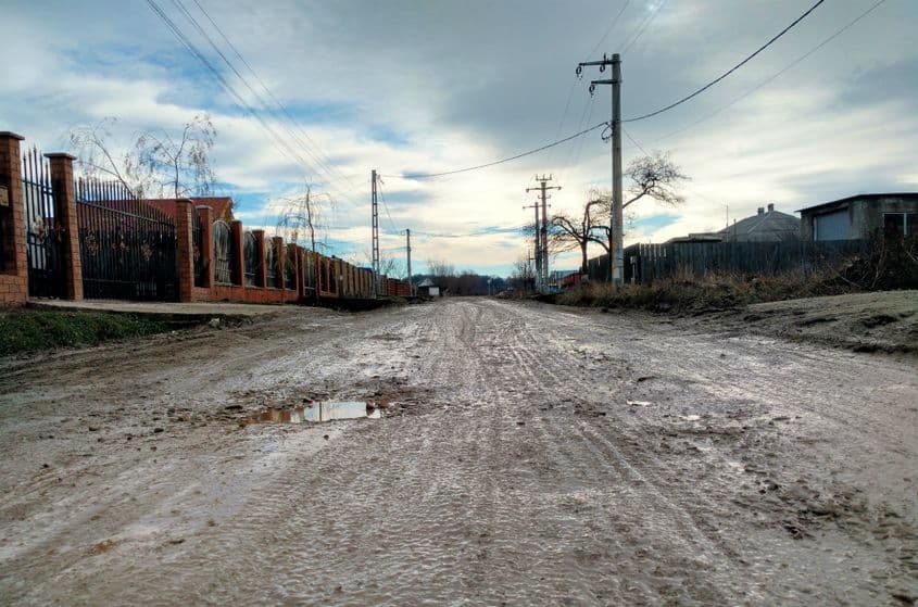 Deși Vișanul se află la doi kilometri de Iași, drumul până la castan este „diabolic”.