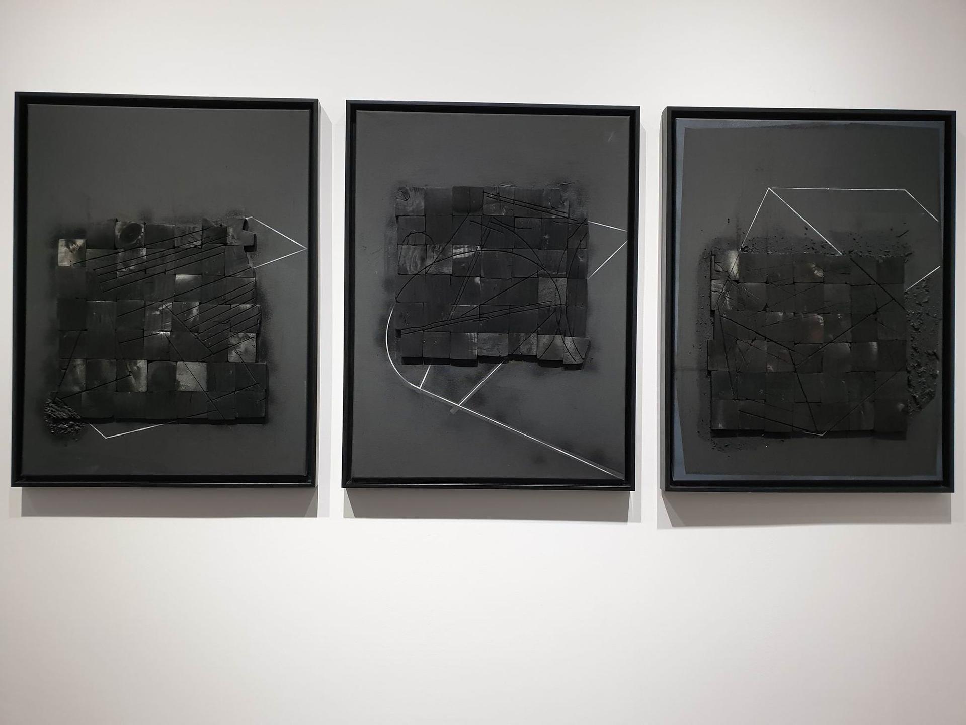 <em>Expoziția "Diptic - Clarobscur" - Petru Lucaci. Foto Lucian Muntean</em>