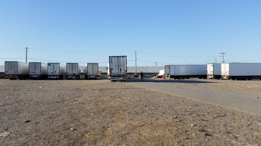 Cel mai mare producător de legume din România exportă doar marfă brută. Legumele urmează să fie prelucrate în străinătate.