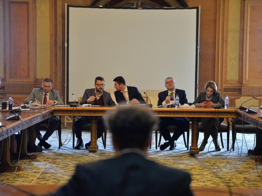 George Ivașcu, în faţa Comisiei de Cultură din Parlament. Foto: Lucian Muntean