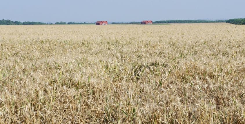 Fermă românească. Foto: site-ul Ingleby