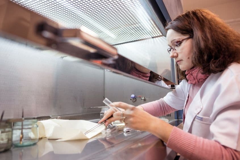 Sămânța de calitate se obține multiplicând un soi cu anumite calități genetice.