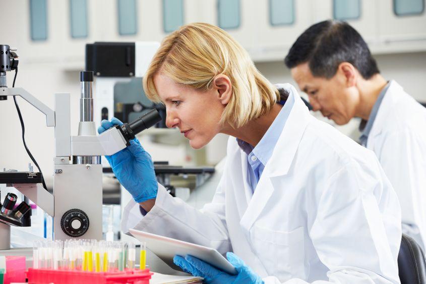 foto: ID 28178147 © Monkey Business Images | Dreamstime.com