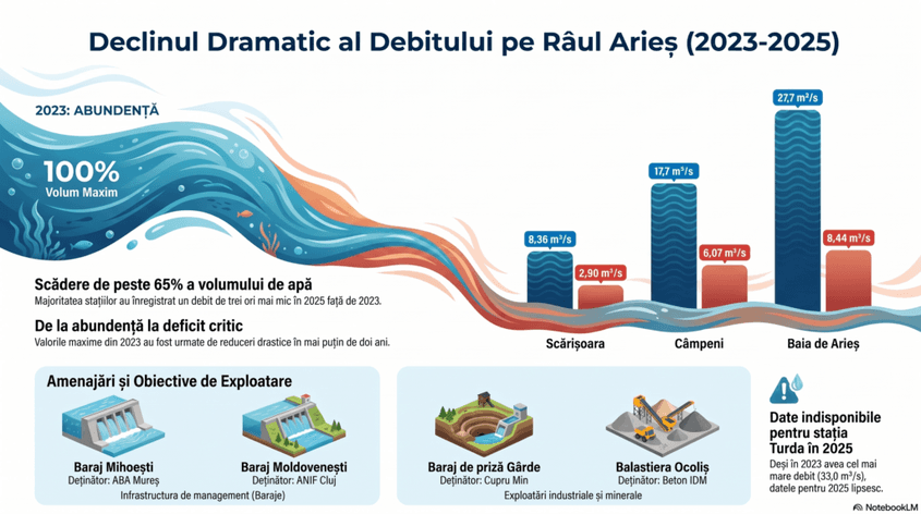 Grafic realizat cu ajutorul NotebookLM în baza datelor furnizate de Administrația Bazinală Mureș