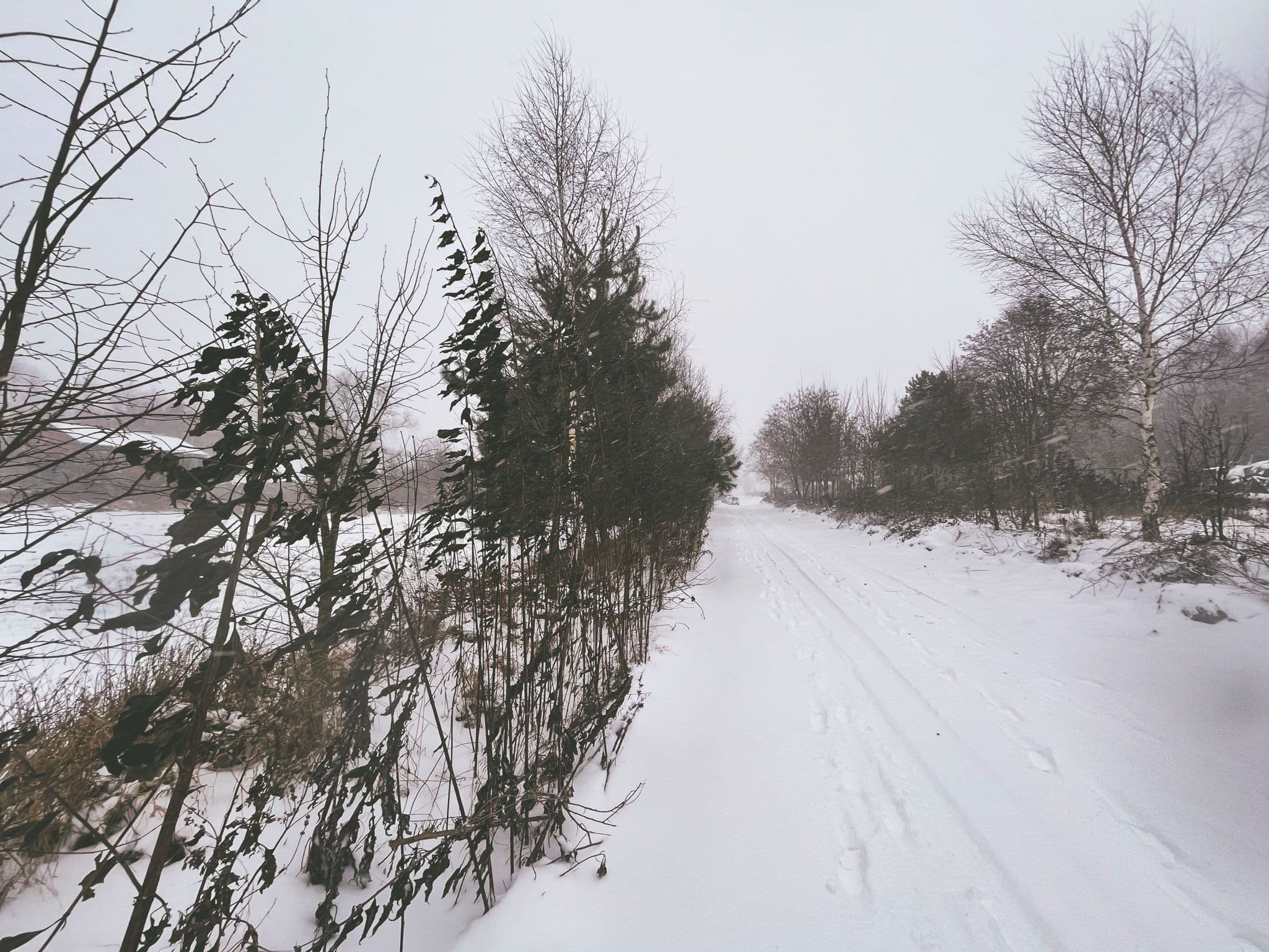 Vedere din <em>Ozierany Małe</em>, un sat aflat chiar la granița cu Belarus
