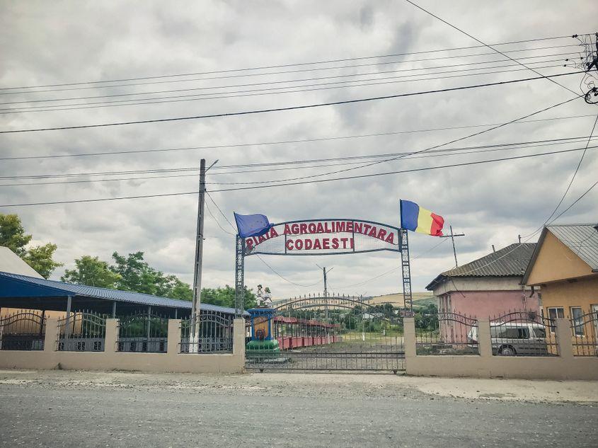 Piața Agroalimentară Codăești se deschide doar sâmbăta, de la 6 dimineața până la ora 12. Foto: Mălina Gîndu