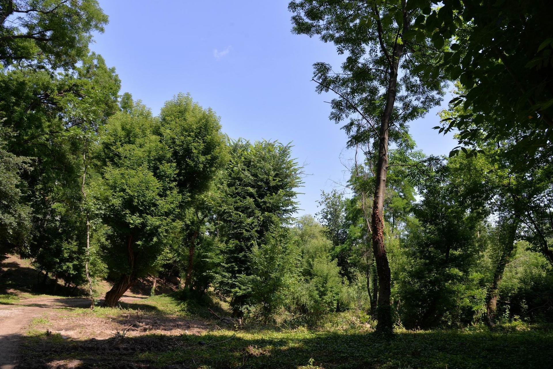 Parcul Sticlăriei din Sector 2, București. Foto Lucian Muntean