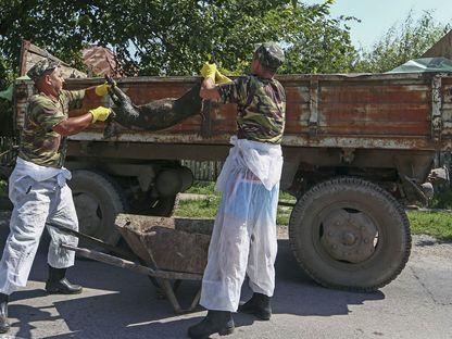 Cine e vinovat pentru răspândirea pestei porcine: "Ai noştri nu aveau nimic pregătit"