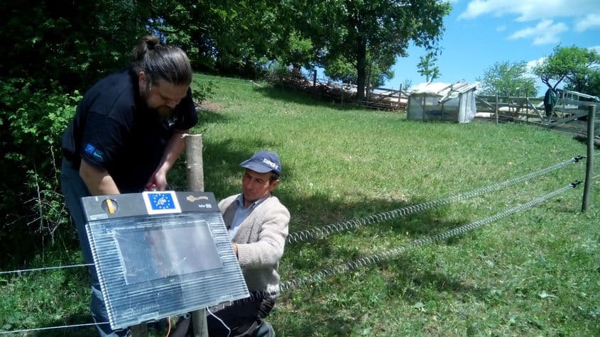 O stână din Vrancea e protejată de un gard electric. Sursă: Mihai Pop