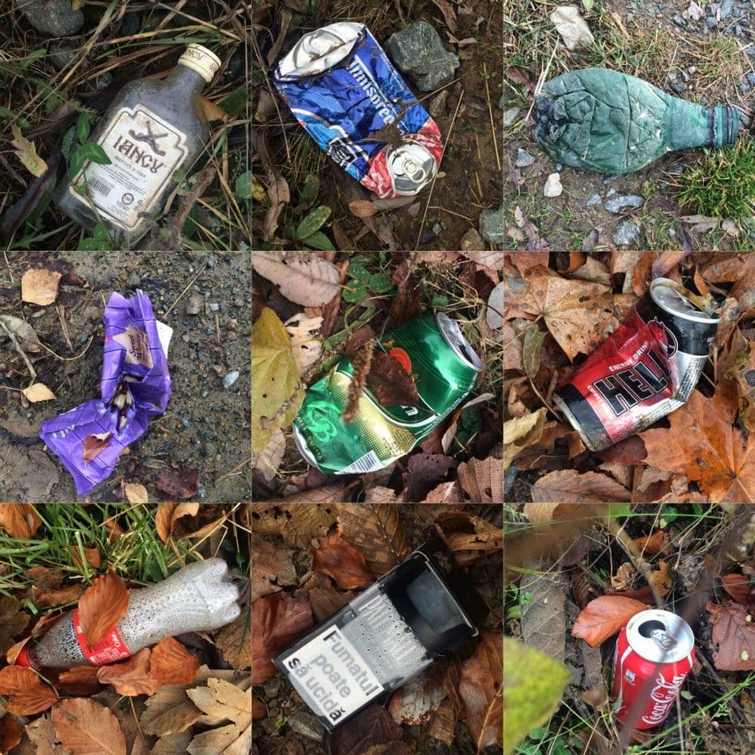 Ambalajele asigură reducerea majoră a risipei alimentare. Pe de altă parte, sunt sursa majoră de poluare a mediului. Dar nu magazinele le aruncă în natură, ci clienții. Fără o responsabilizare a acestora din partea statului și fără motivarea clienților să le refolosească sau recicleze, vom continua să sufocăm mediul înconjurător cu cantități uriașe de resurse transformate în gunoaie. Foto: Voicu Bojan