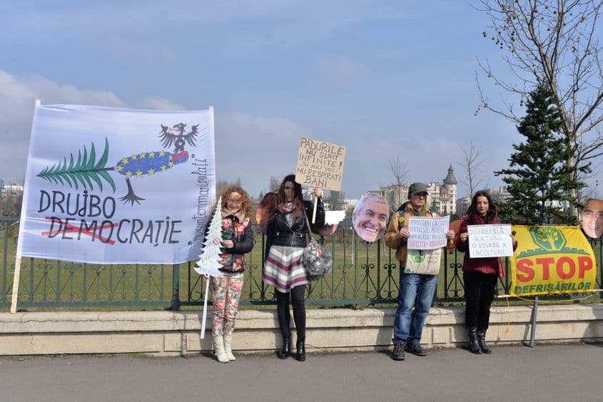 Miercuri, 8 martie, câteva persoane au protestat la Parlament împotriva tăierilor ilegale de pădure. Foto: Lucian Muntean